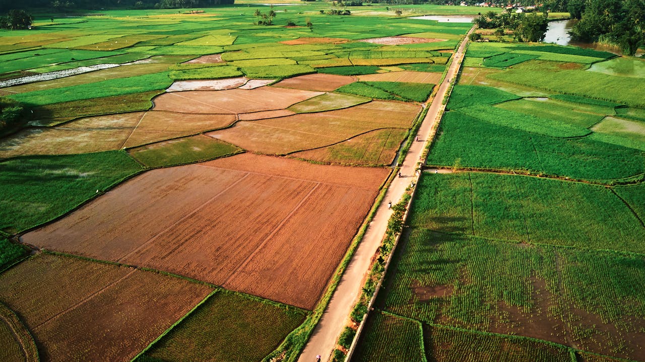 Stunning aerial view of paddy fields in Payakumbuh, Indonesia, showcasing lush greenery and rural landscapes.